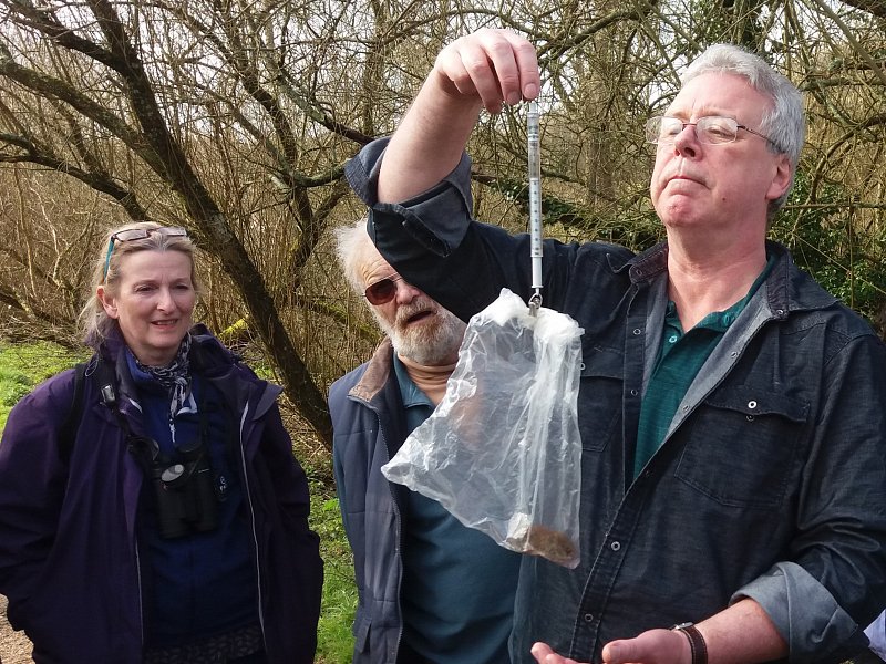 Introduction to the Small Mammals of Sussex
